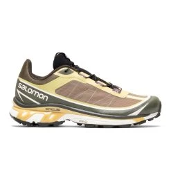 Salomon XT-6 FT