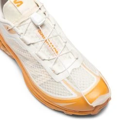 Salomon XT-6 FT -Salomon Shop SalomonXT 6FTVANILLABUCKSKINHAZELNUT4.5L47151400 5