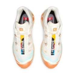 Salomon XT-6 SKYLINE -Salomon Shop SalomonXT 6SKYLINEVANILLAICEYUCCASUNBAKED7.5L41629800 4